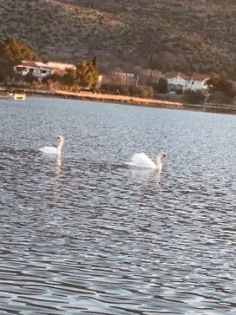 Jaz Апартаменты *