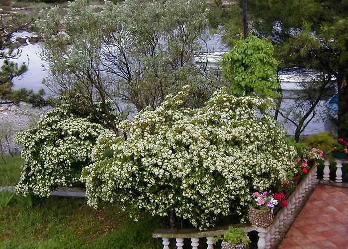 Jaz Апартаменты