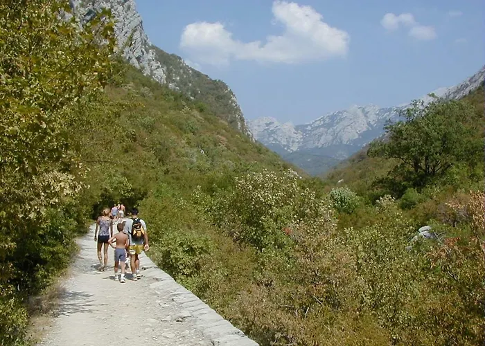 Jaz Апартаменты